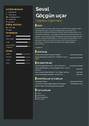 Coğrafya Öğretmeni CV Örnekleri cv indir